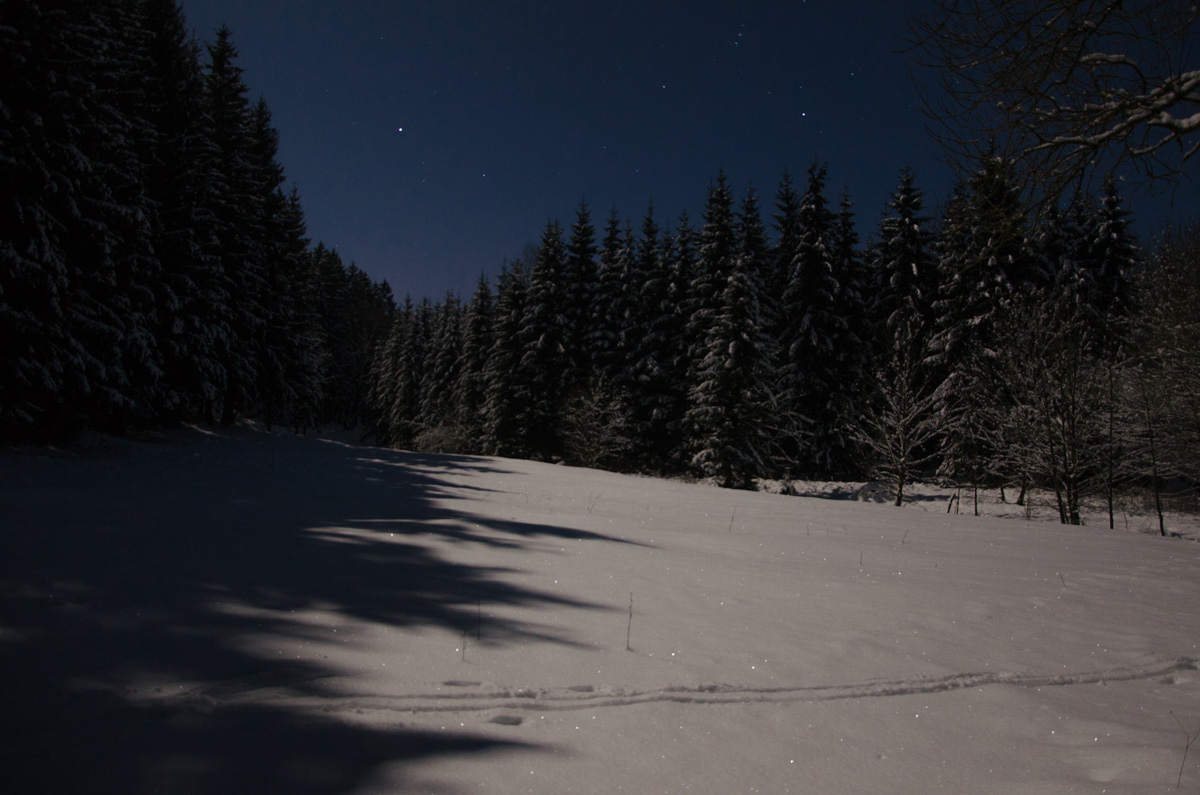 Sieglitzgrund bei Mondschein