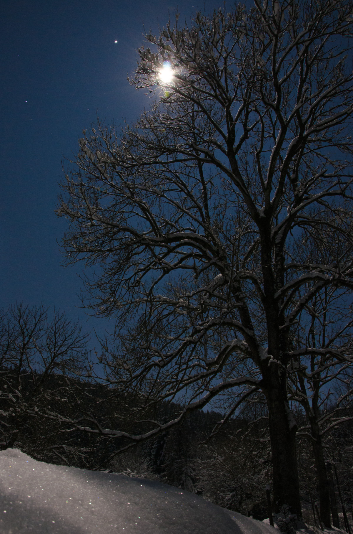 Sieglitzgrund Nacht